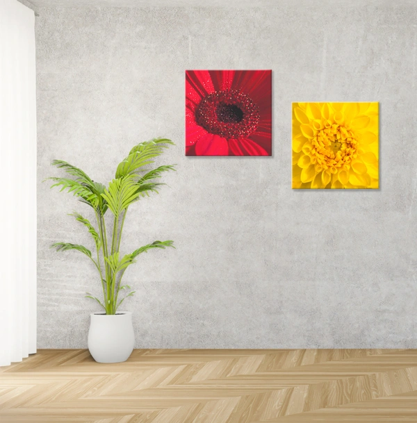 Square Canvas