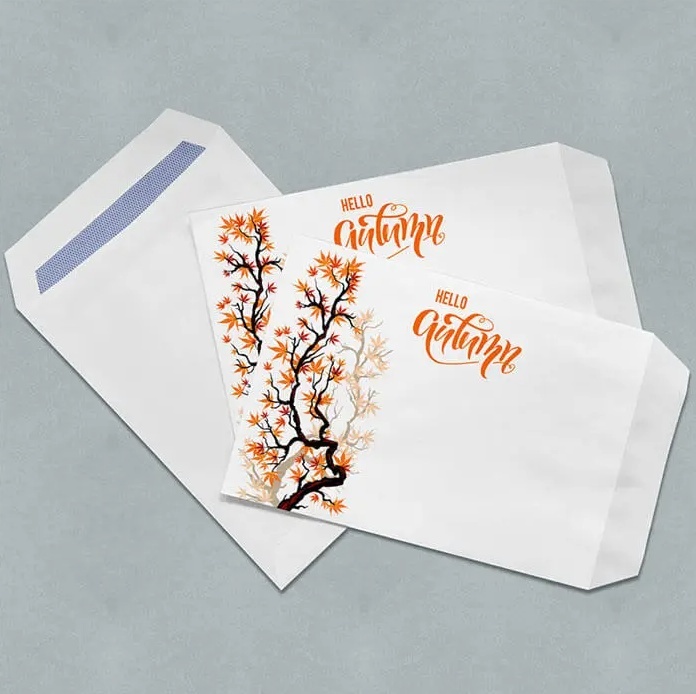  C5 Envelopes